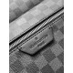 LV Backpack
