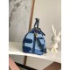 LV BAGS