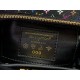 LV Capucines