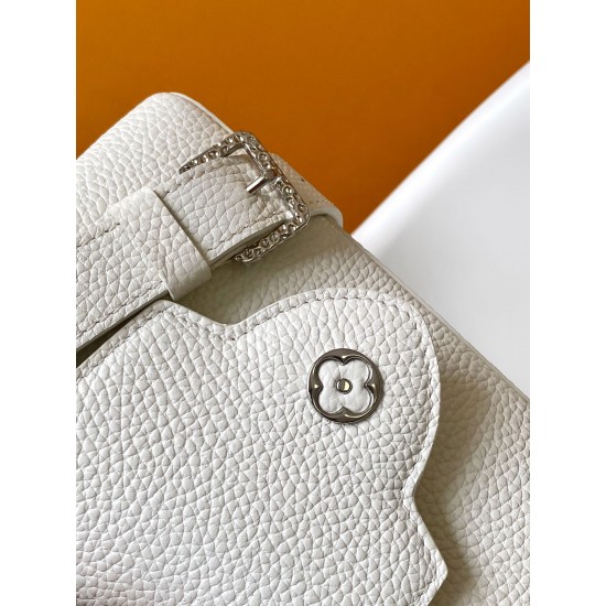 LV Capucines