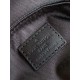 LV Backpack