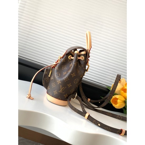 LV Backpack
