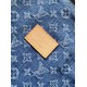 LV Coussin