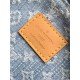LV Coussin