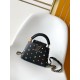 LV Capucines