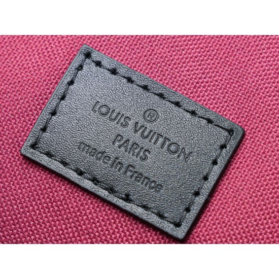 LV Backpack