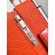 LV travel suitcase