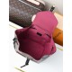 LV Backpack