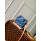 LV Backpack