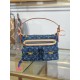LV BAGS