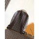 LV Backpack