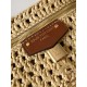 LV Pouch