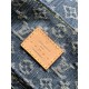 LV Backpack