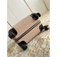 LV travel suitcase