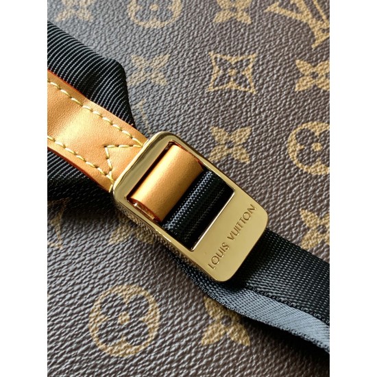 LV Backpack