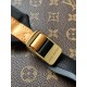 LV Backpack