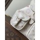 LV Backpack