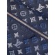 LV Backpack