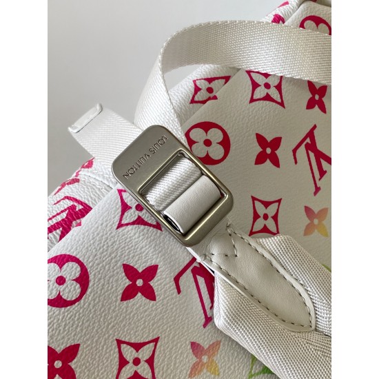 LV Backpack