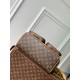 LV Backpack