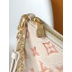 LV Pouch