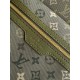 LV Backpack
