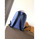 LV Backpack