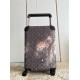 LV travel suitcase