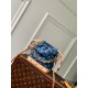 LV Backpack