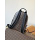 LV Backpack