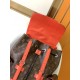 LV Backpack