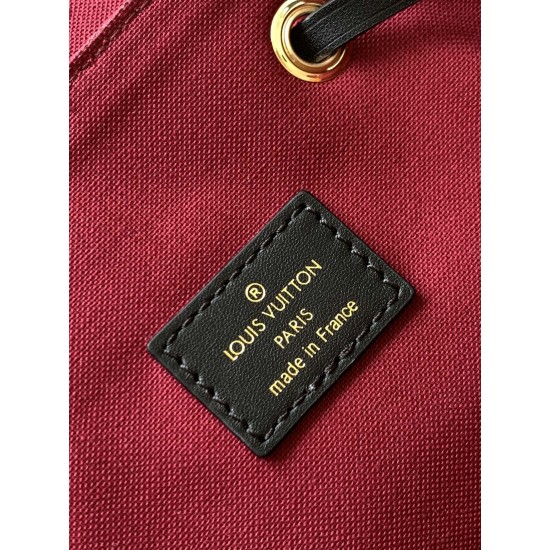 LV Backpack