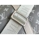 LV BAGS