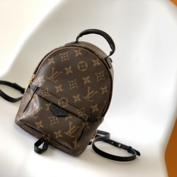 LV Backpack
