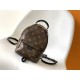 LV Backpack
