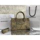 Balenciaga Le Cagole