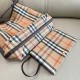 BURBERRY BAGS