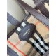 BURBERRY BAGS