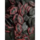 ChromeHearts