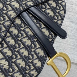 Dior Saddle