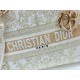 Dior Lady