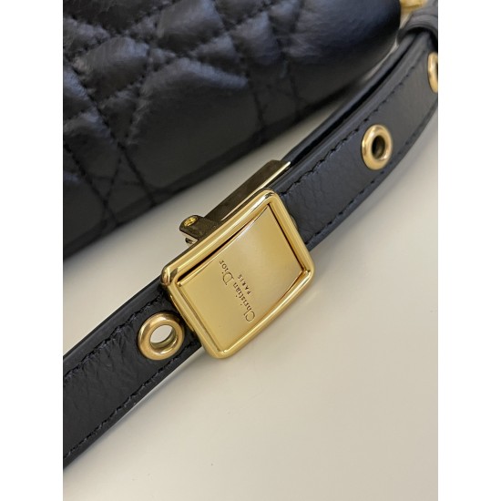Dior Caro