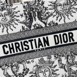 Dior Book Tote
