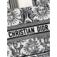 Dior Book Tote