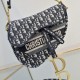 Dior Saddle