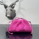 Bottega Veneta Pouch