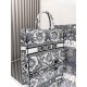 Dior Book Tote