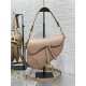 Dior Saddle