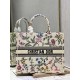 Dior Book Tote