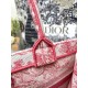 Dior Book Tote